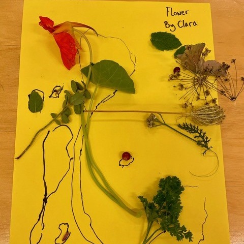 Children's art with herbs