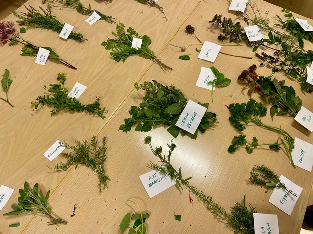 Herbs on a table