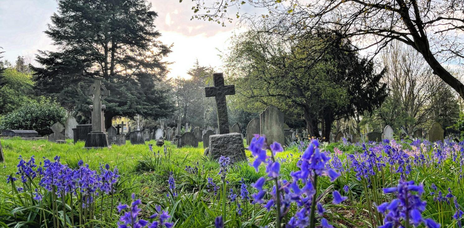 cross in field