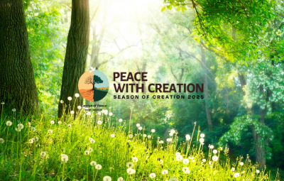 trees and a field with Peace with Creation logo